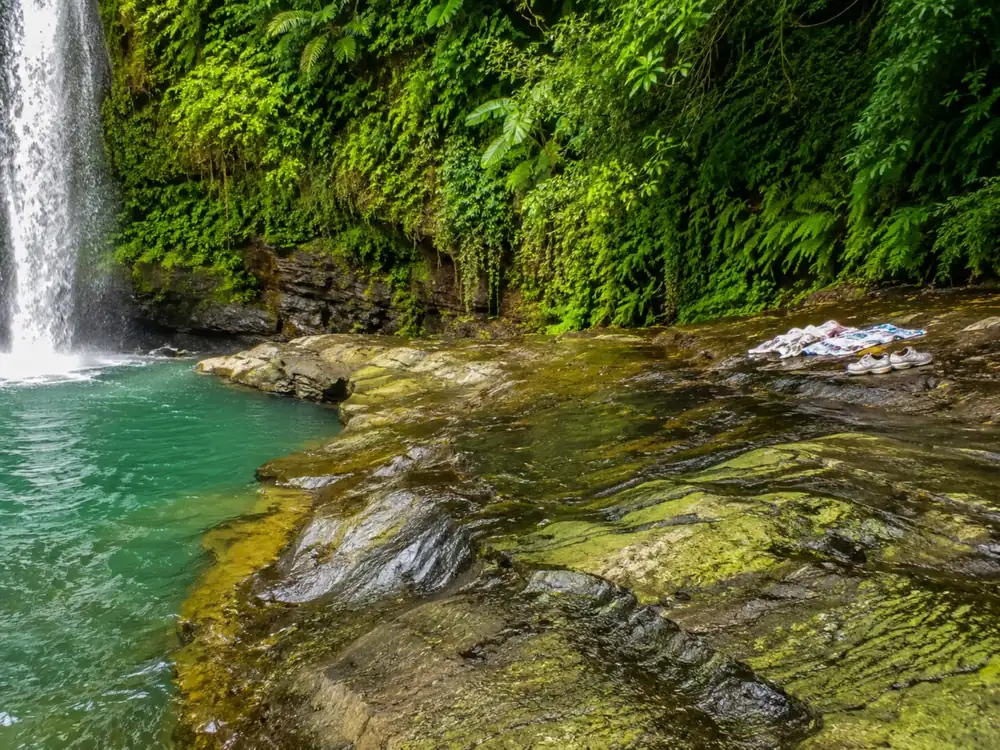 The wet rock ledge beside the pool, algae-green and slippery