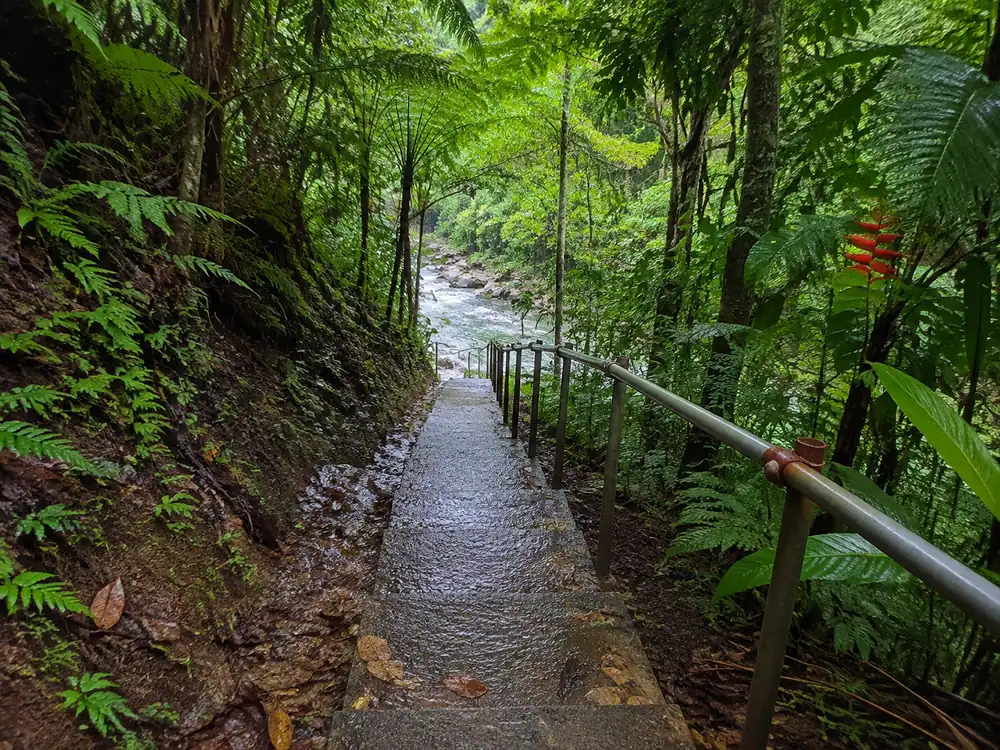 The cement path and steps down from the parking lot