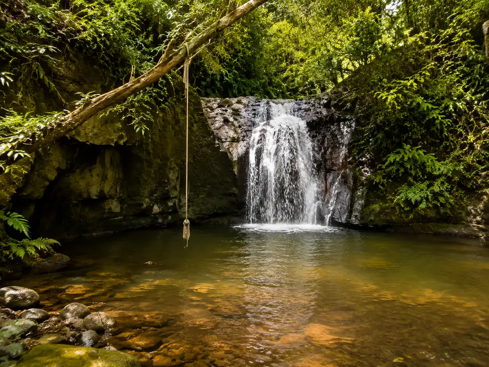 The smaller second fall upstream, with the rope swing on the left bank